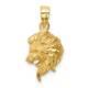 14K Yellow Gold Brushed Diamond-cut Lion Head Pendant