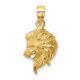14K Yellow Gold Brushed Diamond-cut Lion Head Pendant for Womens 1.65g