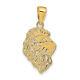 14K Yellow Gold Lion Head Necklace Charm Pendant