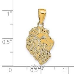 Real 14kt Yellow Gold Lion Head Pendant