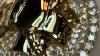 Traxnyc Review Custom Indian Head Pendant 14k Yellow Gold Vs2 Diamond 64725
